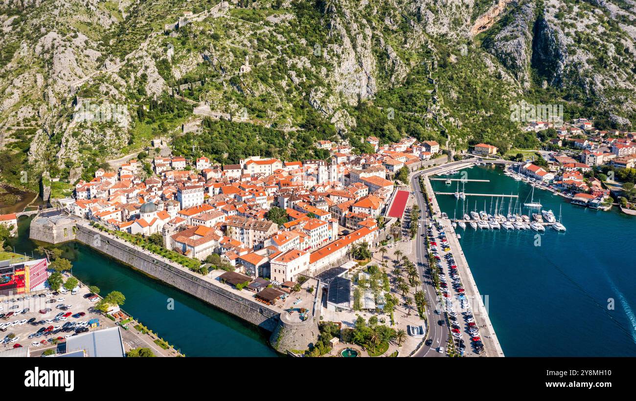 Kotor